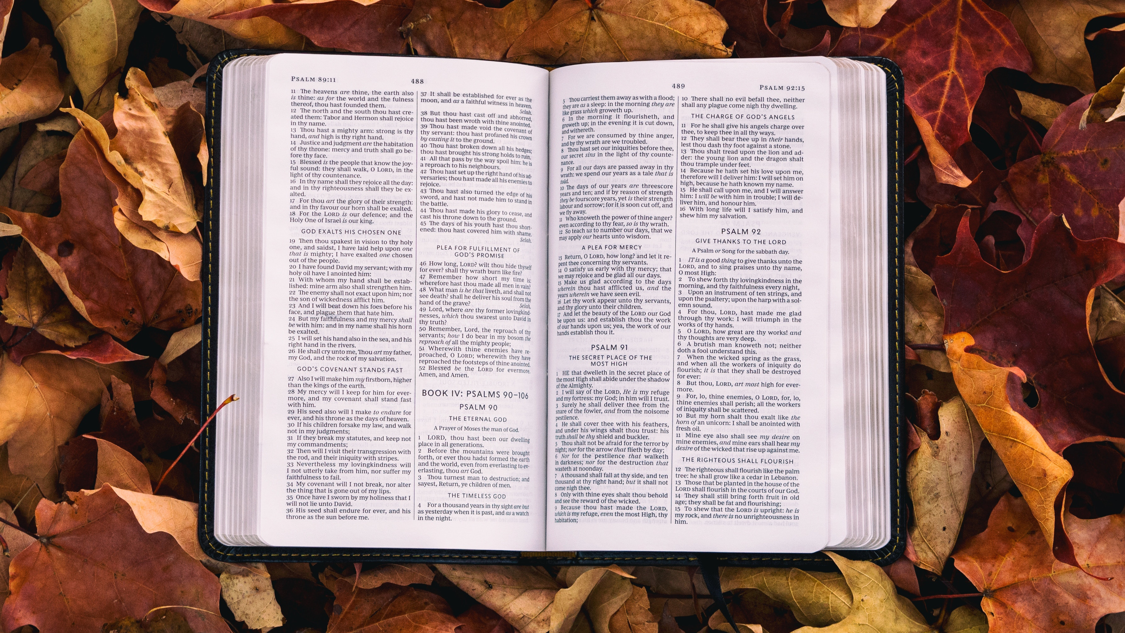 Unwrapping the Themes of Advent: IV