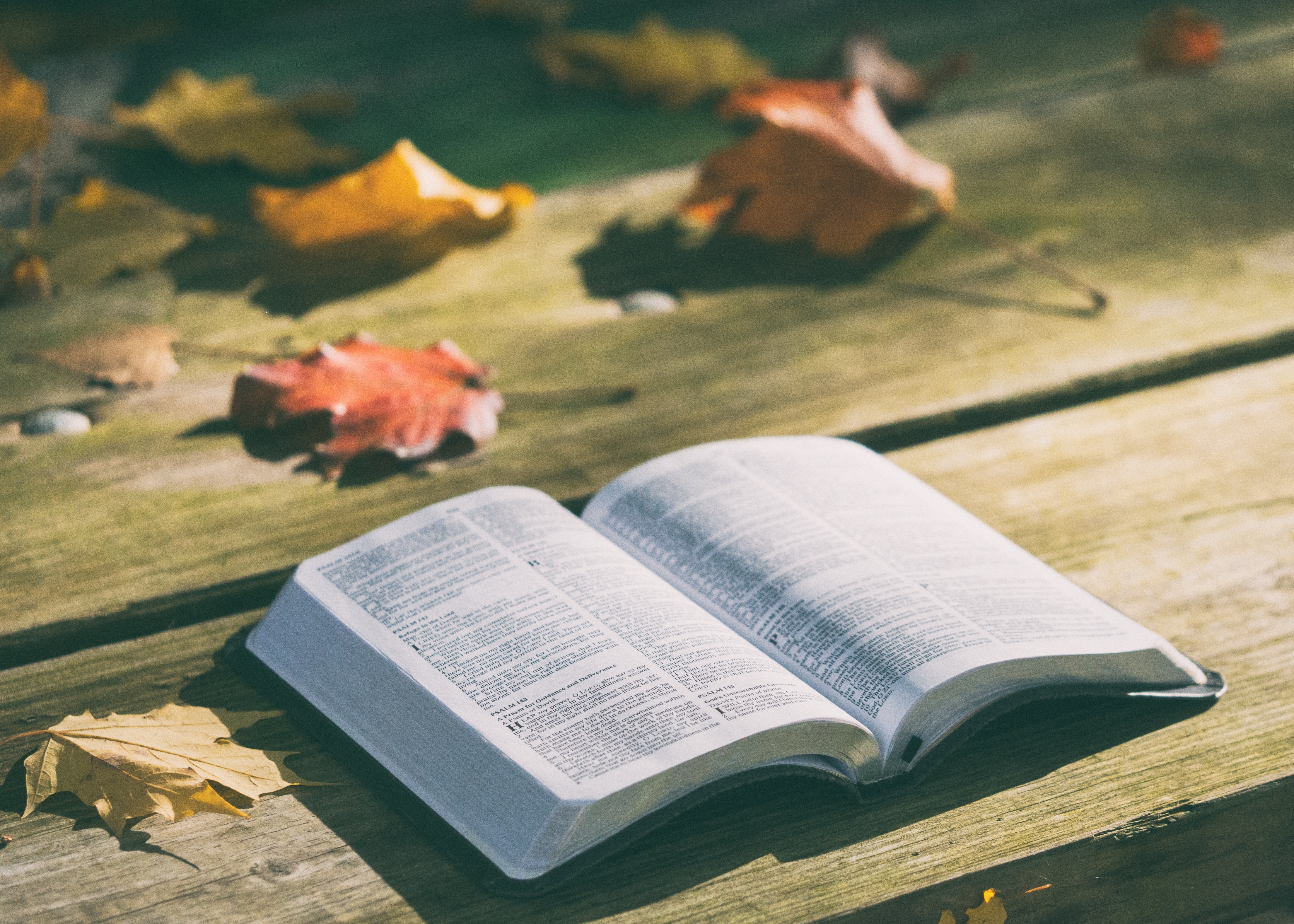 Exodus 10 - Chapters 21-23